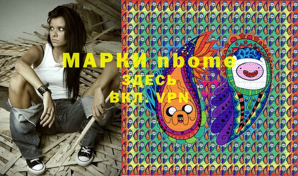 spice Богородицк